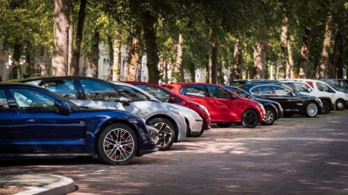 Reihe geparkter Autos in einem Park in Köln, umgeben von Bäumen.
