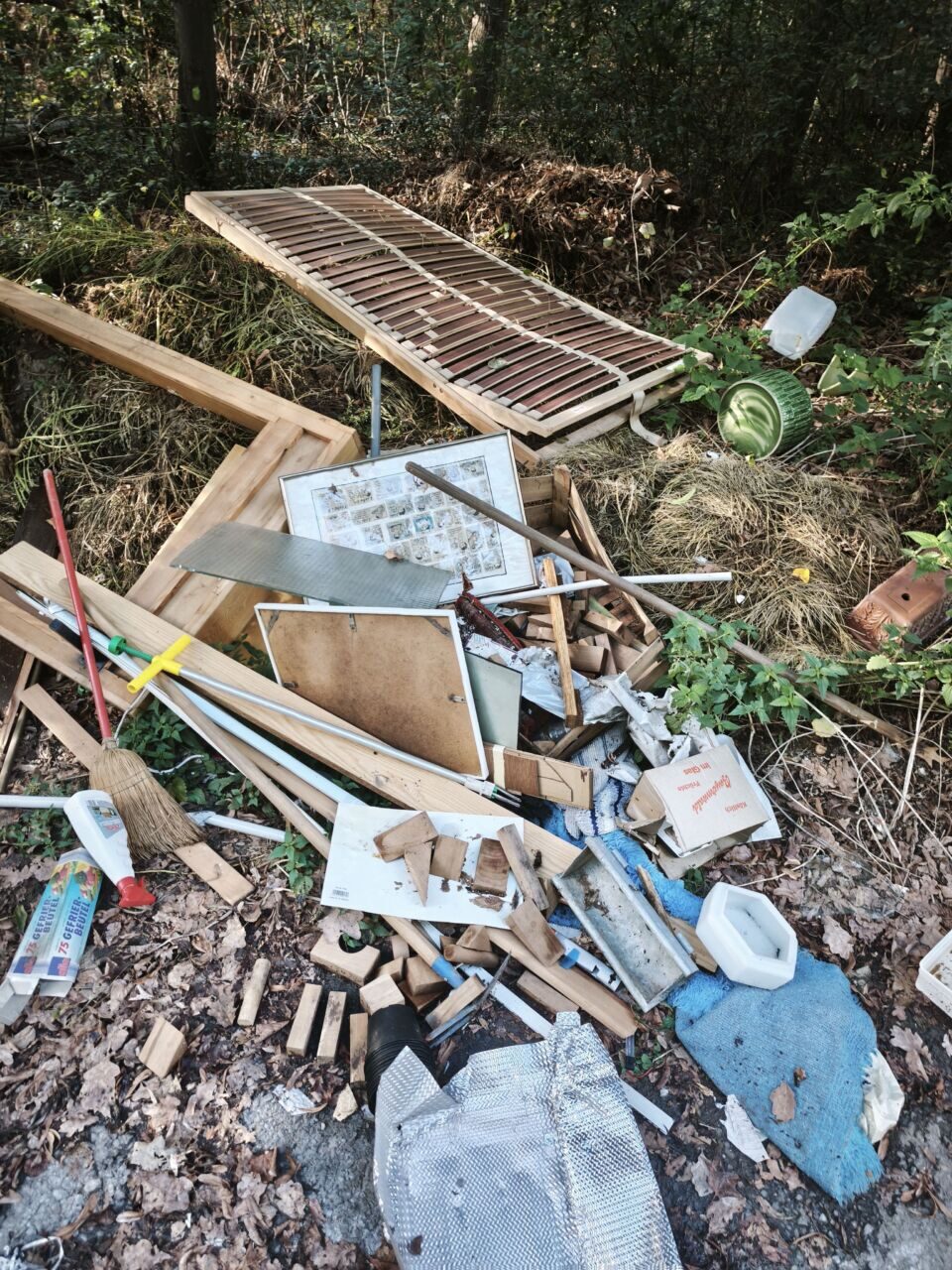 Umweltverschmutzung durch Müll im Wald, weggeworfene Gegenstände und Abfall.
