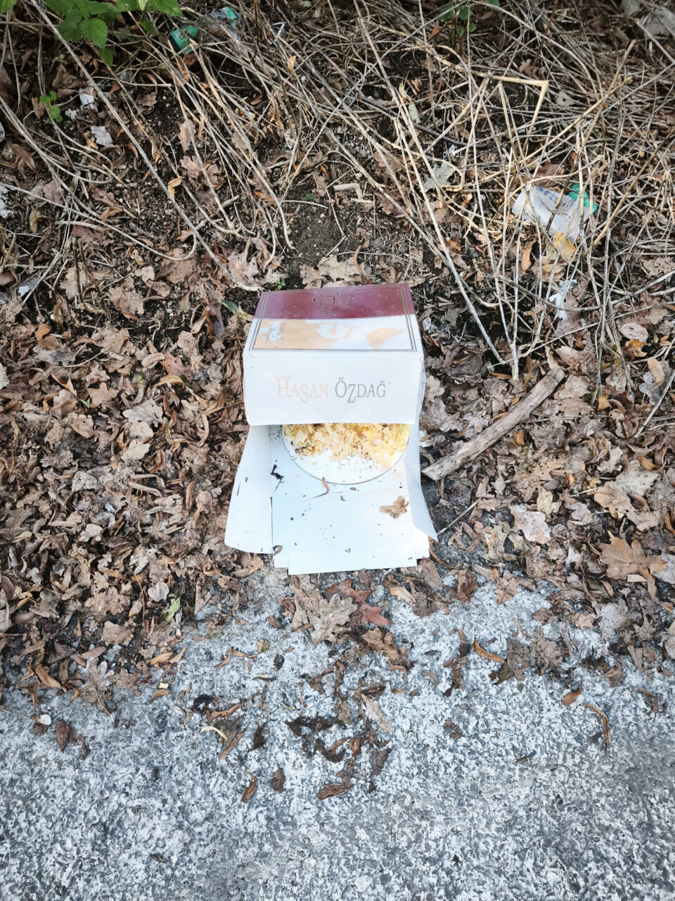 Verlassene Zigarettenpackung liegt im Laub neben der Straße.