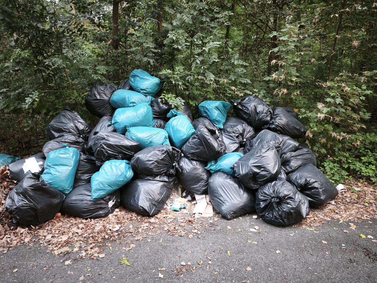 Haufen von schwarzen und blauen Müllsäcken am Waldrand.