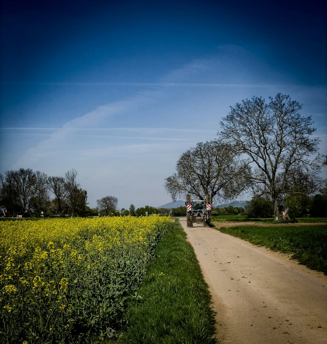 Tractor driving on a dirt road through a yellow field