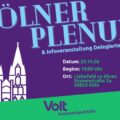 Parteiplenum